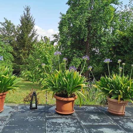 ורניגרוד Ferienhaus Appold מראה חיצוני תמונה
