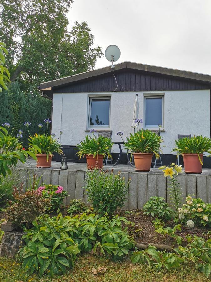 ורניגרוד Ferienhaus Appold מראה חיצוני תמונה